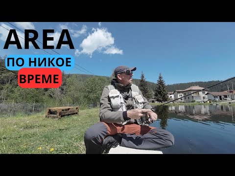 Видео: AREA ПО НИКОЕ ВРЕМЕ