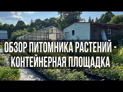 Видео: 7. Обзор питомника растений // Контейнерная площадка