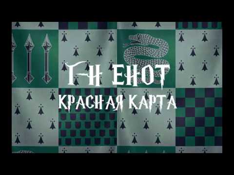 Видео: Енот. Красная карта