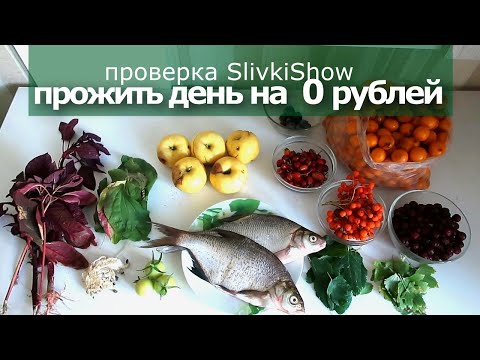 Видео: КАК ПРОЖИТЬ ВЕСЬ ДЕНЬ на 0 РУБЛЕЙ. проверка SlivkiShow