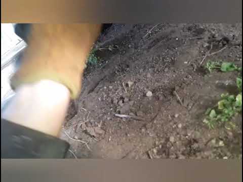 Видео: Снятие кпп москвич 2141