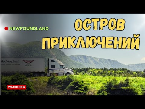 Видео: ПРИКЛЮЧЕНИЯ НА ОСТРОВЕ.  ПОПАЛ В ГОСПИТАЛЬ. ОСТАНОВИЛА ПОЛИЦИЯ