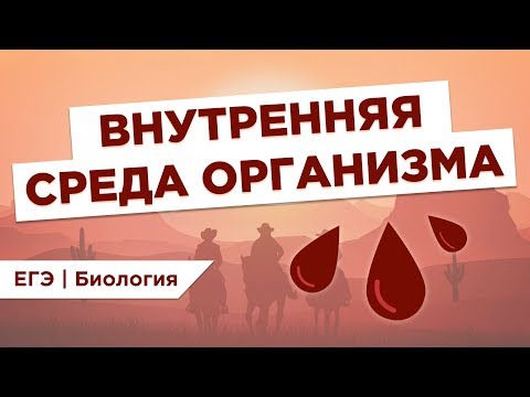 Видео: Что такое ВНУТРЕННЯЯ СРЕДА ОРГАНИЗМА l ЕГЭ Биология | Даниил Дарвин | Вебиум