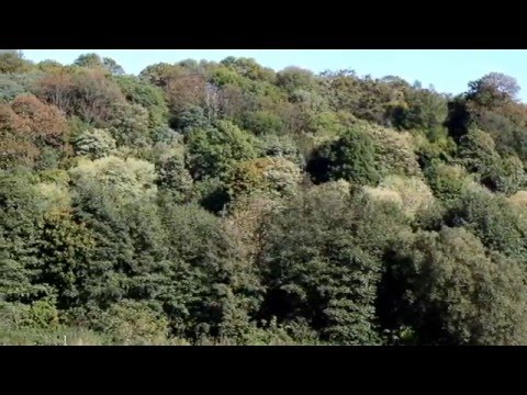 Видео: Плужне   найкращий у світі куточок