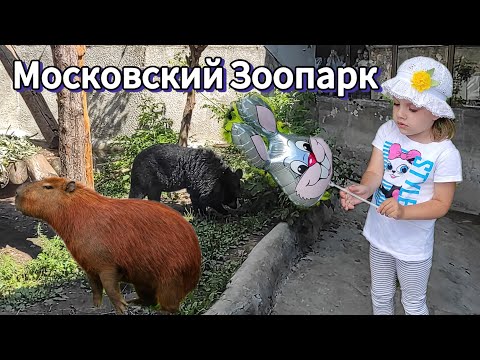 Видео: Vlog Полина В Московском Зоопарке  Polina's Vlogger at the Moscow Zoo Came To Watch the Capybara