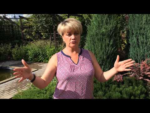 Видео: Ландшафтный дизайн участка без построек, с чего начать?