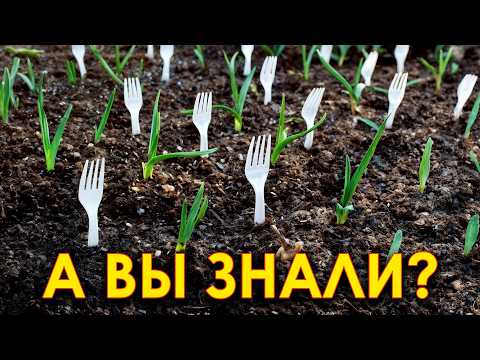 Видео: 30+ гениальных идей для огорода и сада! Как максимально упростить жизнь в огороде?