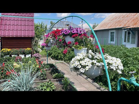Видео: 🏡 Почему так рано черенкую растения на маточники 🤔