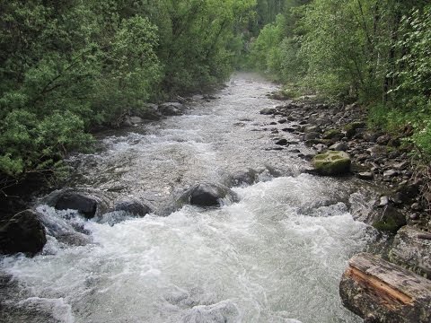 Видео: Нива 21213М, выезд выходного дня.