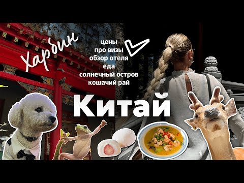 Видео: Путешествие в КИТАЙ | Харбин! Обзор отеля, цены, про визы, пробуем необычную еду