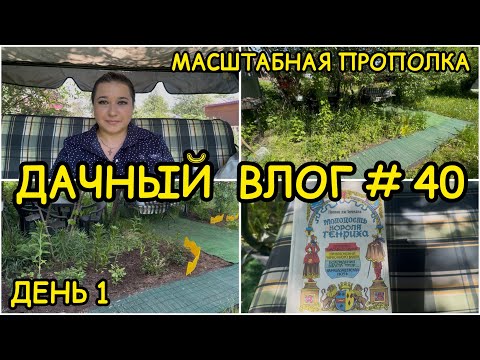 Видео: 🏡 ДАЧНЫЙ ВЛОГ #40: МАСШТАБНАЯ ПРОПОЛКА и УБОРКА УЧАСТКА / РАБОТЫ В САДУ 🌷ПЛАНЫ НА ДАЧНЫЙ СЕЗОН
