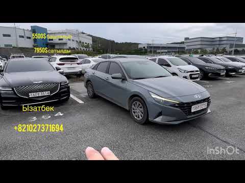 Видео: Lotte auction обзор кылдык