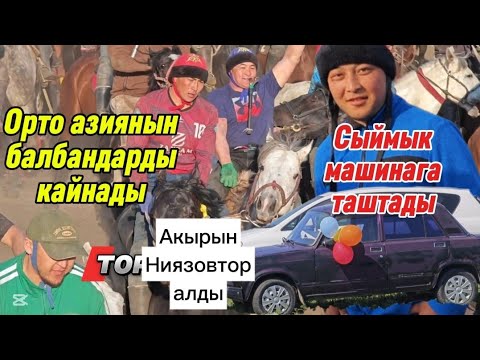 Видео: Кычыраган кыл чайнаш мыктыларды сынады
