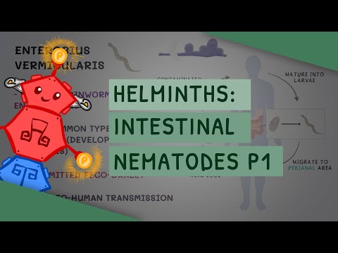 Видео: Гельминты: Кишечные нематоды. Часть 1 (характеристики, клиническое значение, диагностика, лечение)