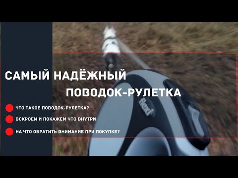 Видео: Самый надёжный поводок рулетка. На что обратить внимание при покупке и использовании?