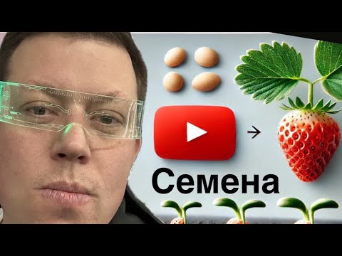 Видео: ВЫРАЩИВАНИЕ КЛУБНИКИ ИЗ СЕМЯН
