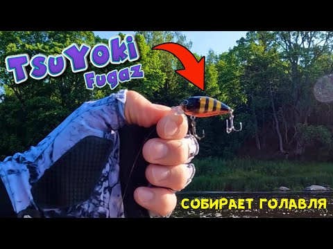 Видео: TsuYoki Fugaz не оставил без рыбы! Рыбалка со старым другом!