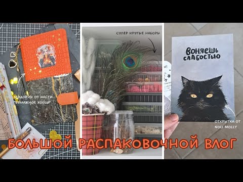 Видео: Большой распаковочной влог. Много разнообразных покупок. Бумага, ножницы и необычные материалы.