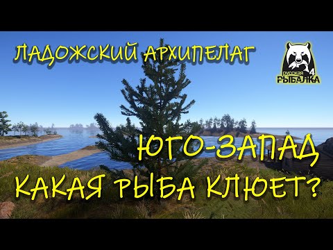 Видео: Русская рыбалка 4. рр4. Ладожский архипелаг. Юго-запад что там клюет?