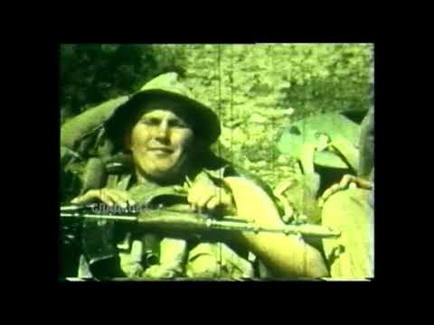 Видео: Спроси пустыню