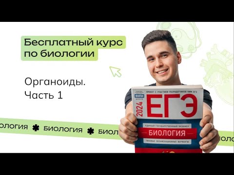 Видео: Органоиды (часть 1) | Бесплатный пробный курс от NeoFamily