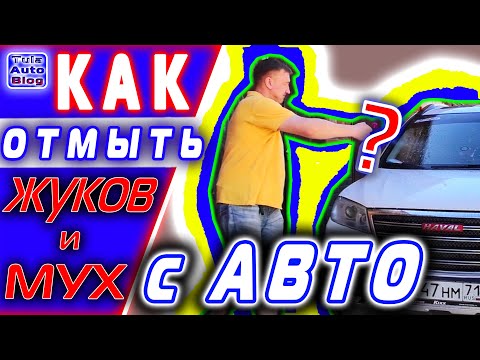 Видео: Как отмыть насекомых с машины. Как смыть мух и жуков с авто после езды по трассе