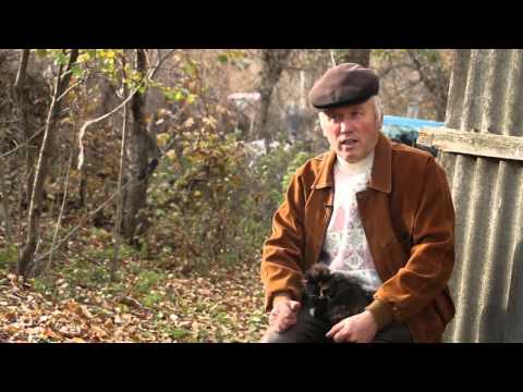 Видео: Клембівка