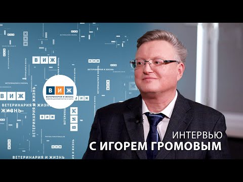 Видео: Интервью с Игорем Громовым