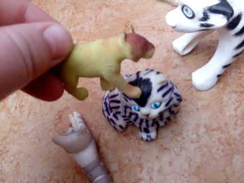 Видео: Коты воители. 2 сезон 1 серия. Начало новой эры.