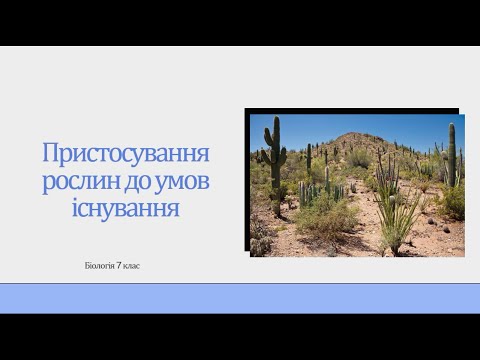 Видео: Пристосування рослин до умов існування