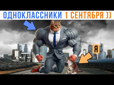 Видео: ОДНОКЛАССНИКИ 1 СЕНТЯБРЯ ))) | Приколы с котами | Мемозг 1486