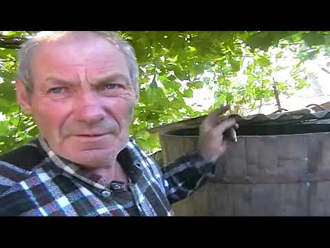 Видео: Домашнее молдавское вино.Окрестности Паркан.Родник.