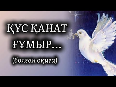 Видео: ҚҰС ҚАНАТ ҒҰМЫР... ӨЗГЕГЕ САБАҚ БОЛАР ӘСЕРЛІ ӘҢГІМЕ. ҚЫСҚА ӘҢГІМЕ.