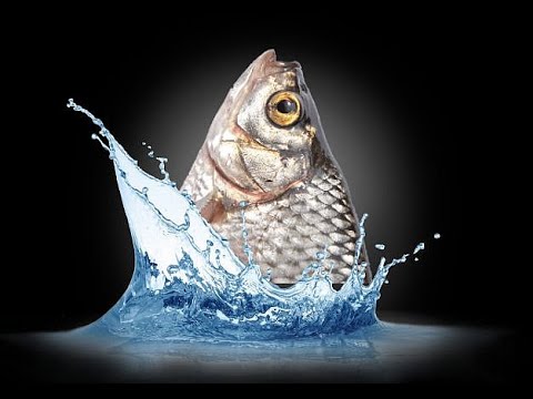 Видео: СНАСТЬ О КОТОРОЙ НЕ ЗНАЮТ ---  УЛОВИСТАЯ СНАСТЬ, быстро и просто !!!!!!!