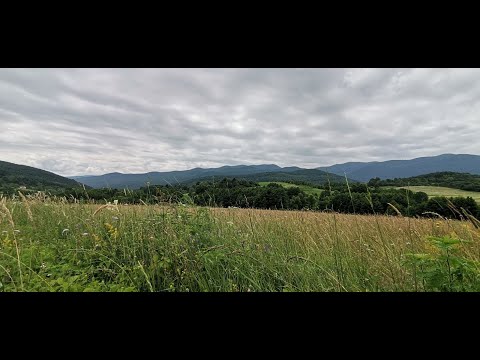 Видео: Мајкић Јапра, Чувари Крајине, РТРС/ Majkić Japra, Čuvari Krajine, RTRS