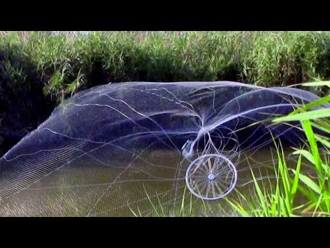Видео: Рыбалка на кастинговую  сеть и подъёмник 2019 На что больше поймаешь.........