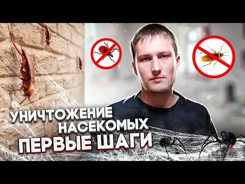 Видео: бизнес со 100 тысяч | первые шаги | бизнес влог