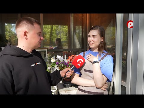 Видео: Что вижу, то пою. Выпуск №264