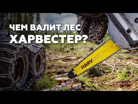 Видео: 😎 Чем заготавливает лес Харвестер?