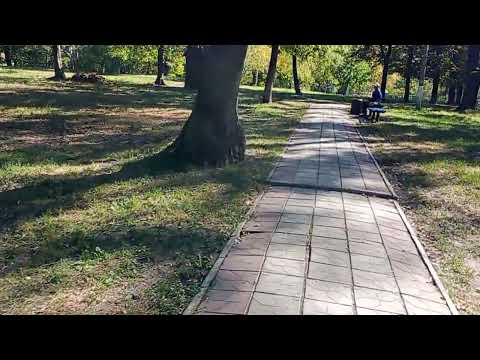 Видео: Новосанжарський  парк Перемоги