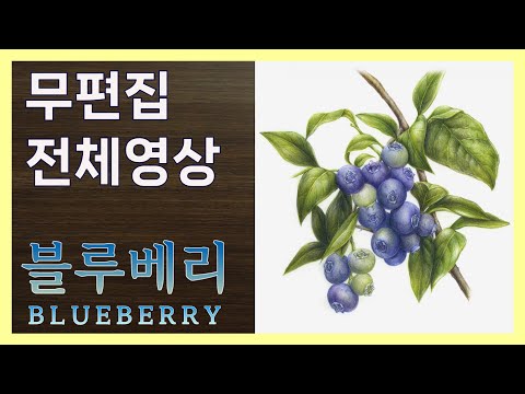 Видео: [Неотредактированное полное видео] Рисунок цветным карандашом черники (Урок рисования № 102-4)