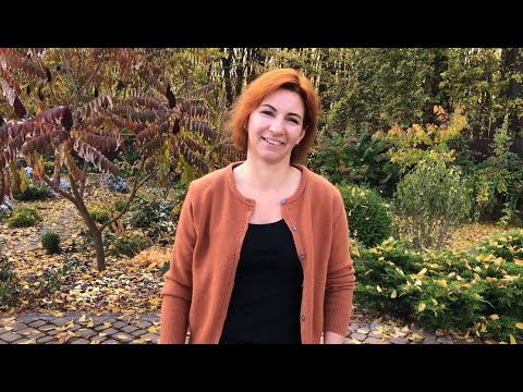 Видео: Як виростити смачні гриби з міцелію в саду?