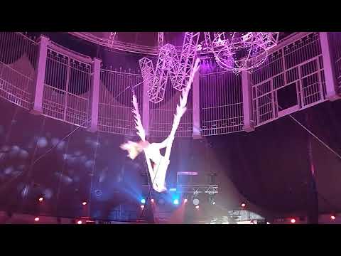 Видео: ВСТУПЛЕНИЕ И "КРАСОТКА", ШОУ "   WOW", САРАТОВСКИЙ ЦИРК