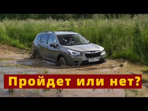 Видео: SUBARU FORESTER 2020: хорош во всем, кроме ГЕОМЕТРИИ | ПОКРОВСКИЙ