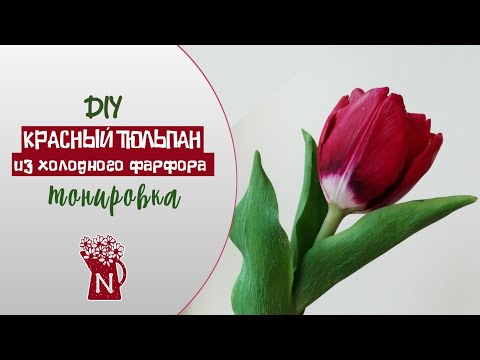 Видео: Красный тюльпан из холодного фарфора. Тонировка. МК