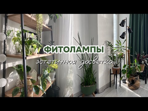 Видео: Цветочный влог | Распаковка фитоламп | Эстетичная досветка комнатных растений