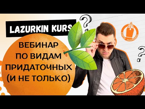 Видео: 💯 ГОТОВЬСЯ к ЦЭ / ЦТ * ВЕБИНАР по ВИДАМ ПРИДАТОЧНЫХ #лазуркин #русскийязык  #цт #урок #цэрусский #цэ