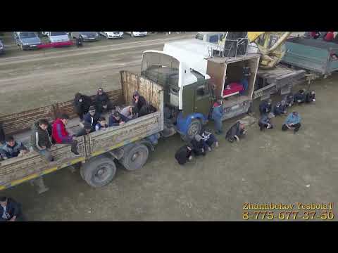 Видео: Жанибекулы Сайлаубек акемыздын 70 жас мерей тойына улы Ердос мырза берген той кокпар