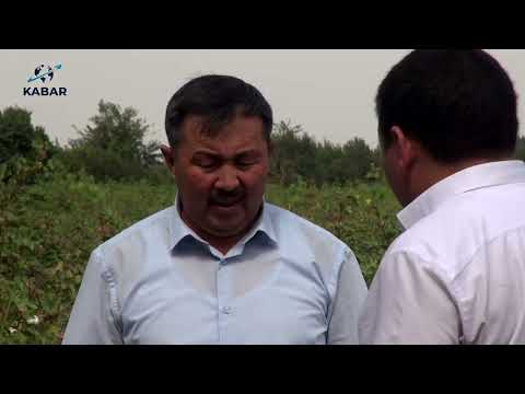 Видео: Араван районунун акими:Араванда жаңы суу сактагыч курулат.