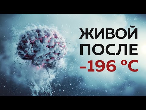 Видео: Заморозка и оживление мозга: прорыв в нейробиологии | Пушка #76